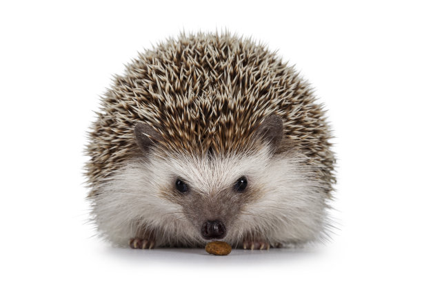 spiked