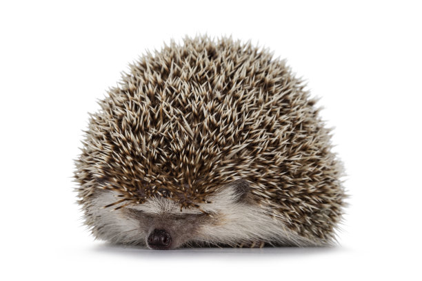 spiked