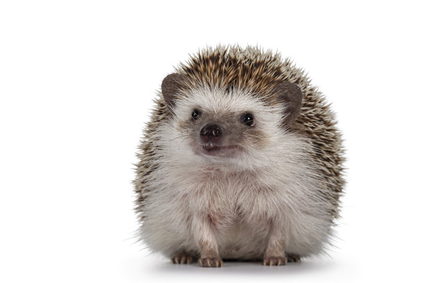 spiked