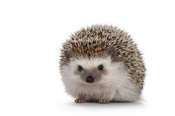 spiked