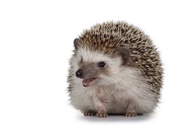 spiked