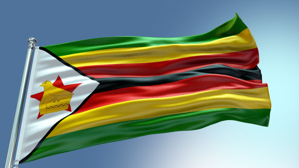 zimbabwean