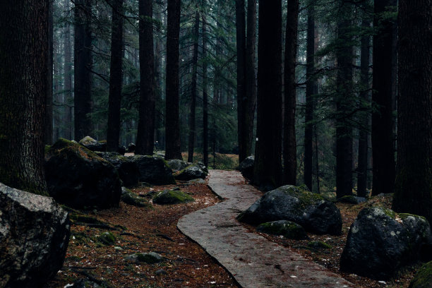 trail