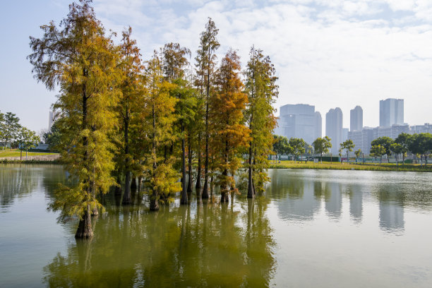 田园风光,地形,户外