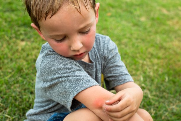 夏季幼儿疾病预防