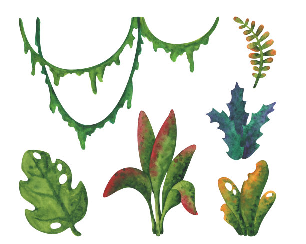 花标本图片大全 花标本设计素材 花标本模板下载 花标本图库 昵图网soso Nipic Com 花标本图片大全 花标本设计素材 花标本模板下载 花标本图库 昵图网soso Nipic Com