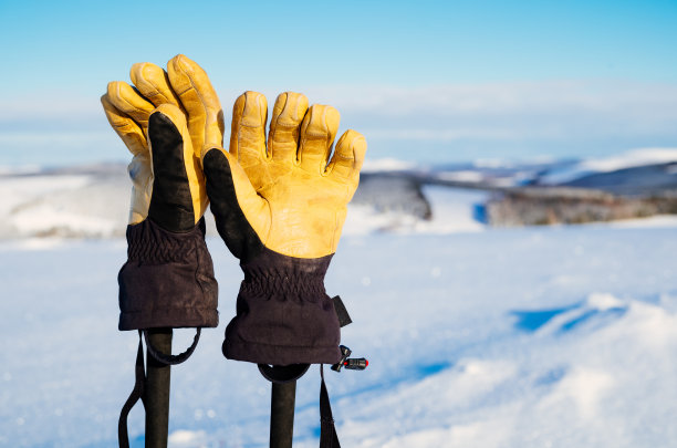 gloves