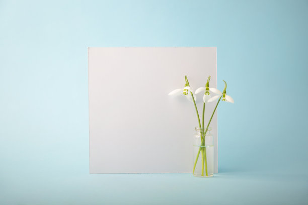 清新绿色方块背景图案