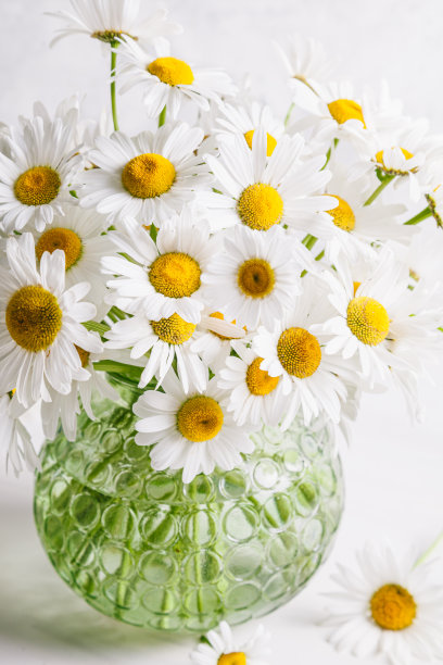 春天百花盛开万物复苏