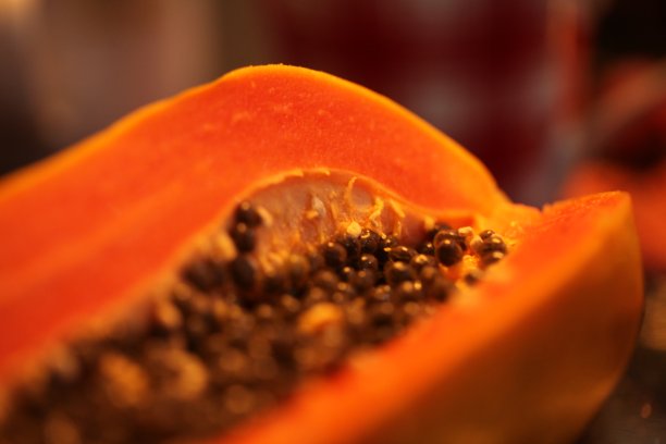 papaya