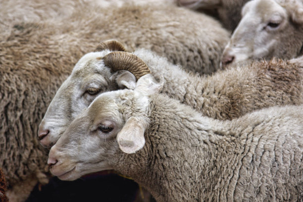 凝聚群众引导群众