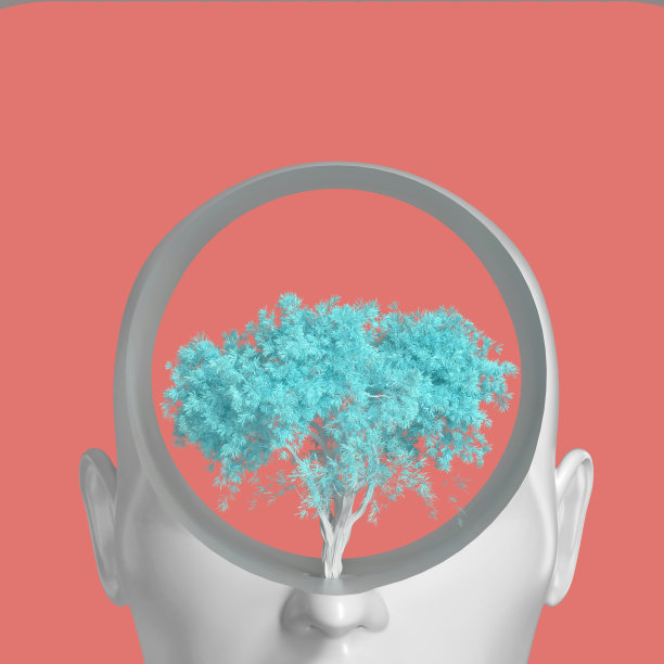 自我提高自我革新