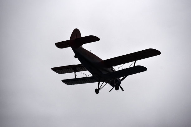 biplanes