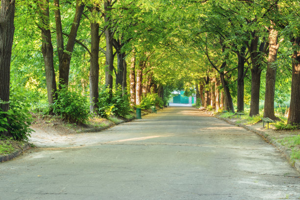 avenue