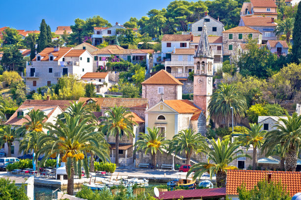 brac