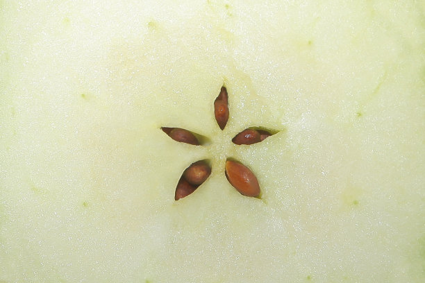 core