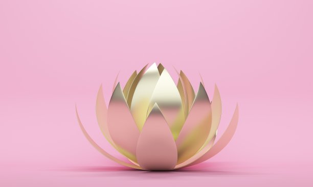 荷叶荷叶背景荷叶广告