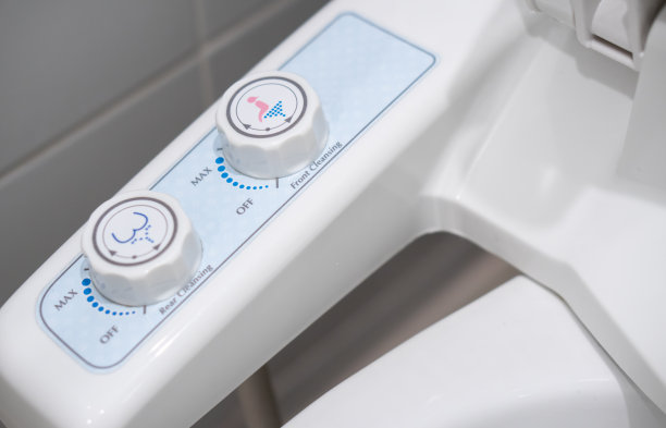 bidet