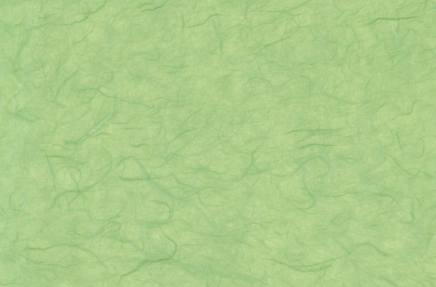 垃圾分类背景墙