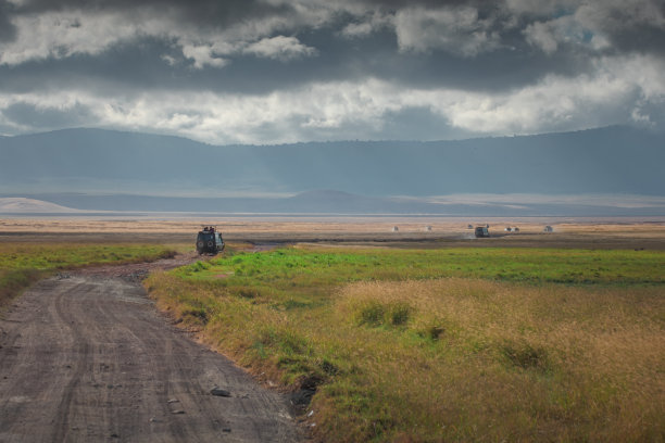 ngorongoro