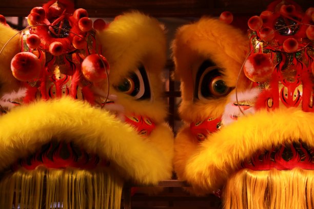 lion