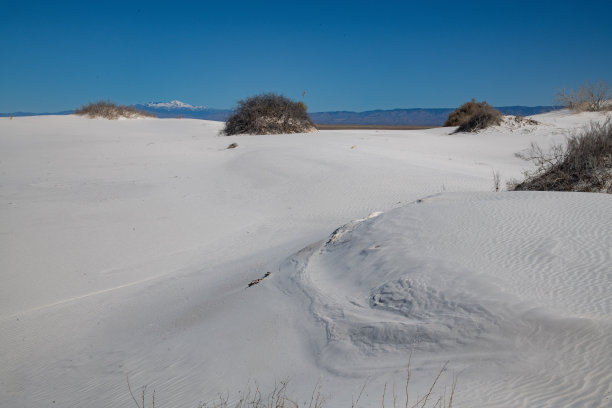 dune