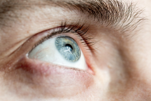 retina
