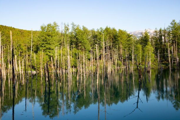 fen