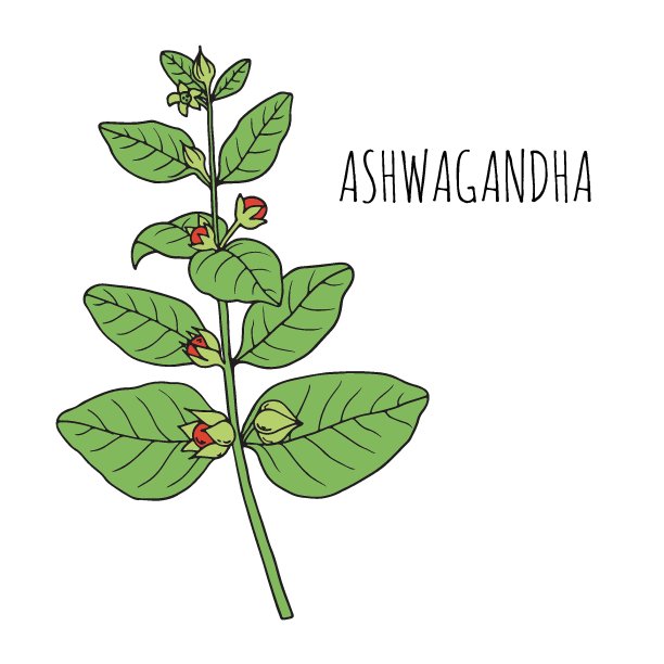 ayurveda
