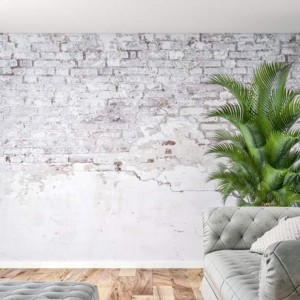 芭蕉叶沙发背景