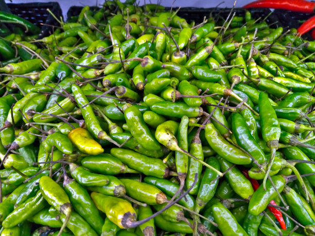 cayenne