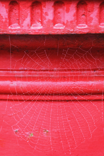 红web