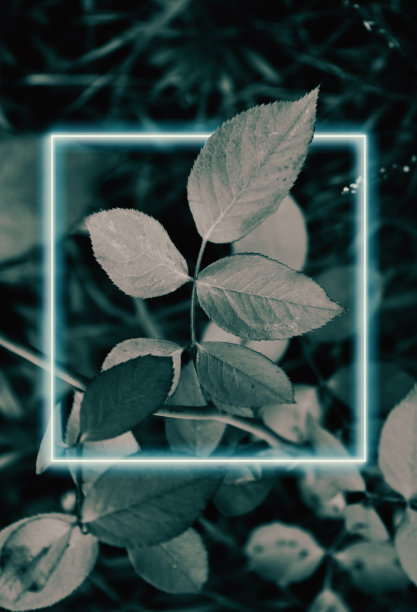 清新绿色方块背景图案