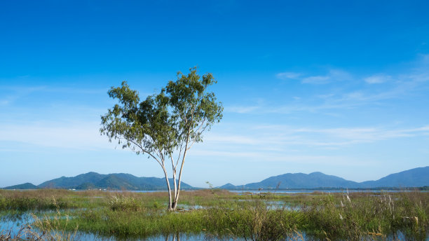 chonburi