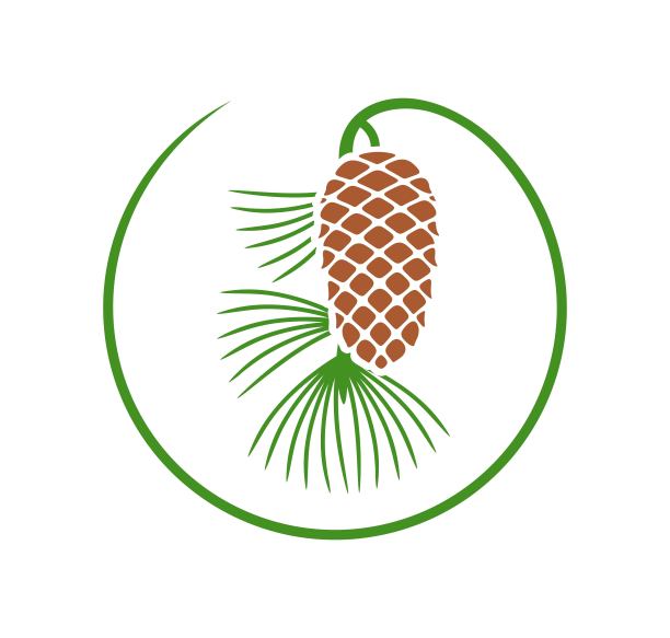 松子logo