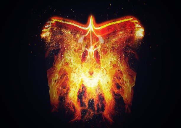 金红色凤凰插画