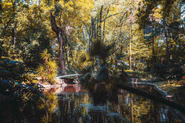 marsh