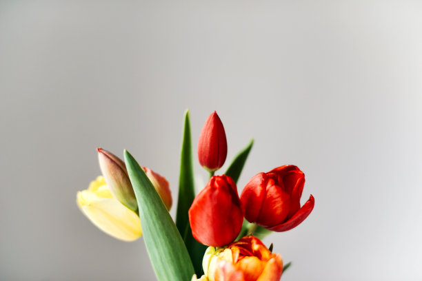 红色婚礼花艺素材