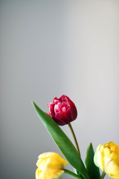 红色婚礼花艺素材