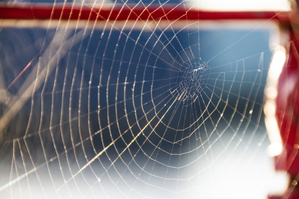 红web