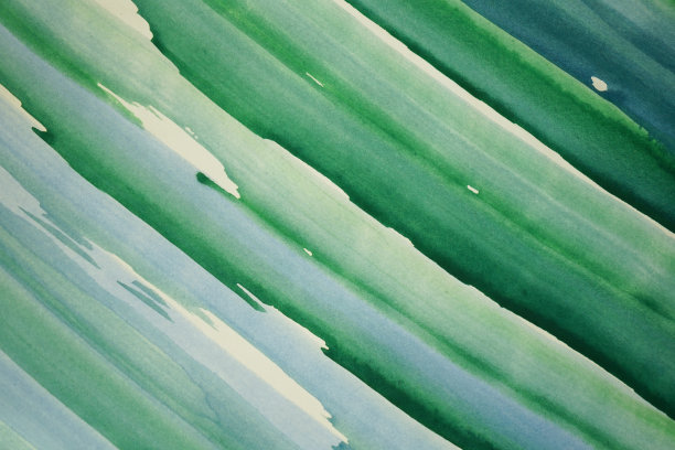 清新蓝绿棕榈叶图案背景