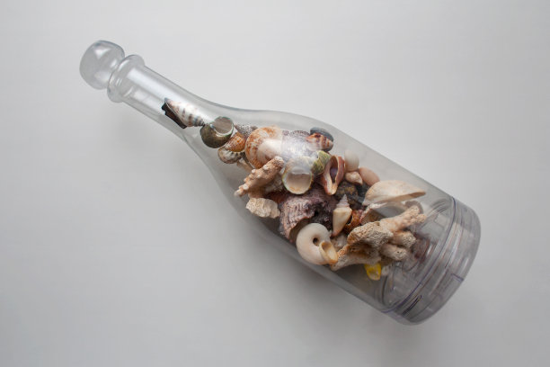 conch