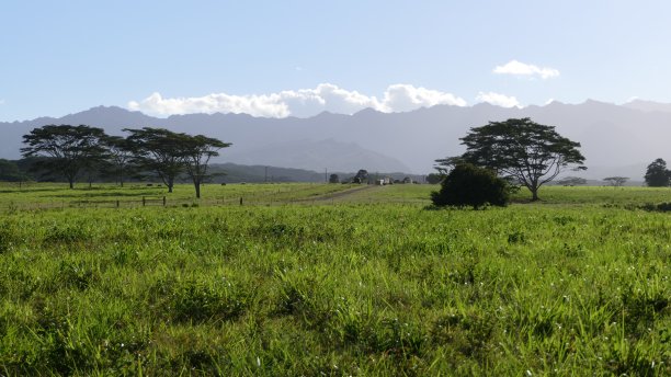 kauai