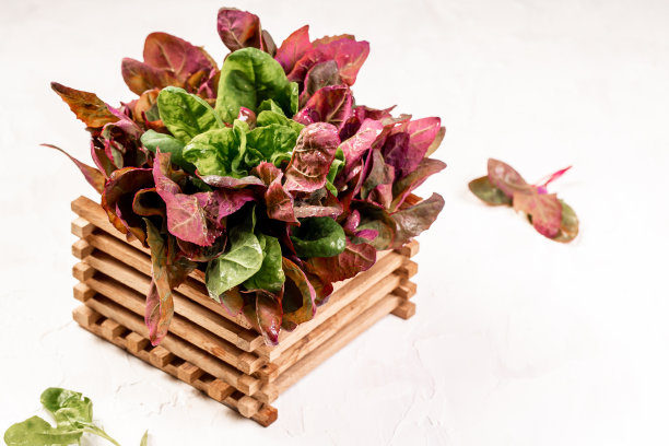 garnish