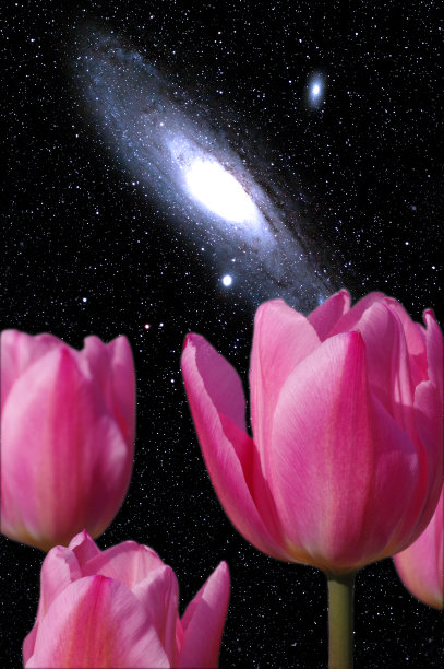 andromeda