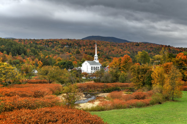 vt