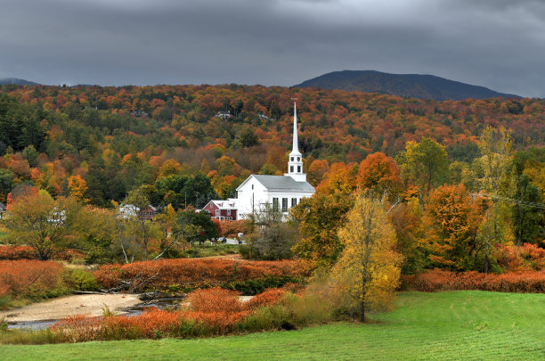 vt