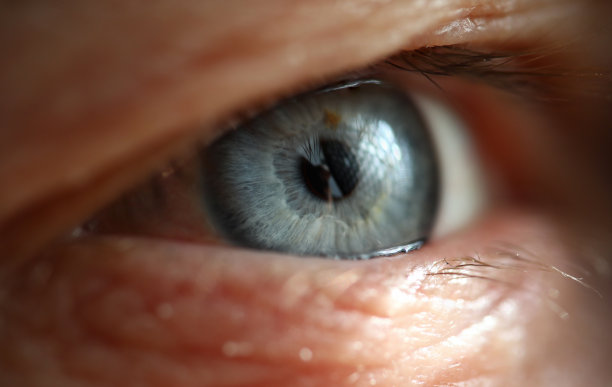 retina
