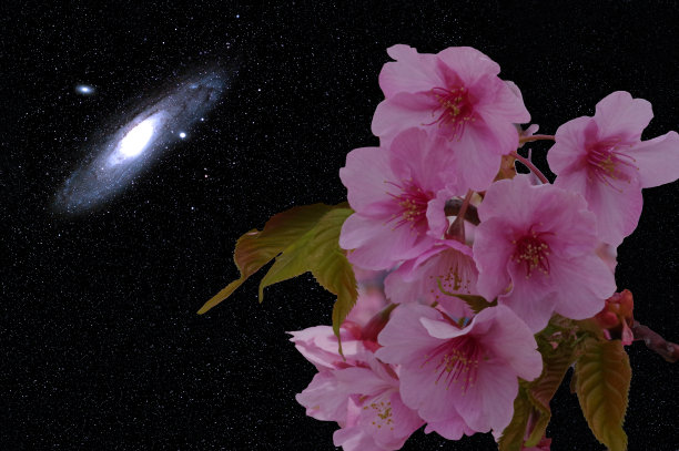 andromeda