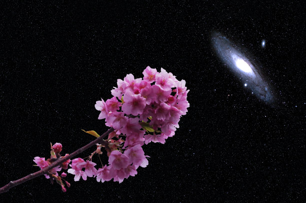 andromeda